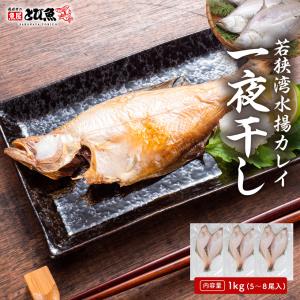【送料無料】国内 工場直送 若狭湾産 かれい一夜干し 1kg（5〜8尾）無添加 天日干し 国産 白かれい エテカレイ 宗八カレイ 干物 冷凍 福井県 若狭町 karei2601