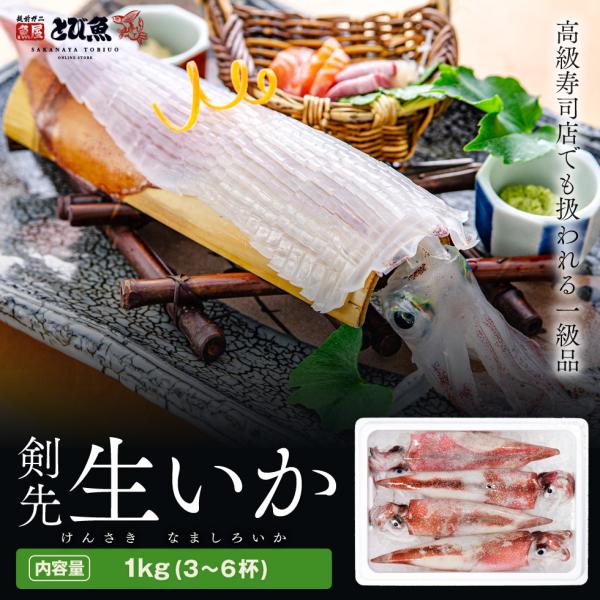 [ 水揚次第発送 ] 【朝どれ 産地直送】剣先白いか 生 1kg (3〜6杯) 生いか 剣先イカ 剣...