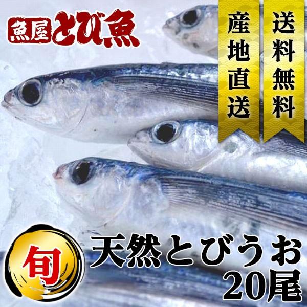 [ 水揚次第発送 ]  ≪ 産地直送 ≫ 天然 丸トビウオ 20尾入り トビウオ 飛び魚 丸あご ア...