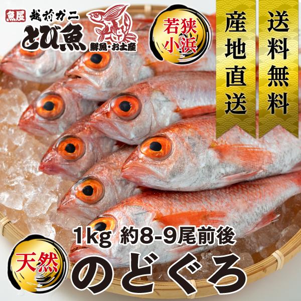天然 ノドグロ 鮮度抜群 たっぷり 1kg 8-9尾前後 約15-20cm のどぐろ 喉黒 のど黒 ...