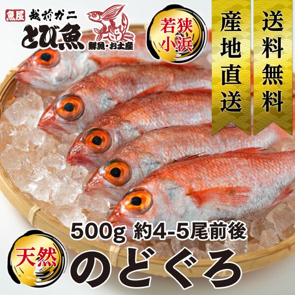 [ 水揚次第発送 ] ≪家計応援価格≫ のどぐろ 500g 4〜5尾 国産 食べやすいサイズ 天然 ...
