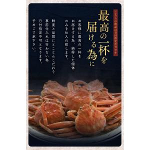 【今季販売終了】【完売御礼】セイコガニ 5杯 ...の詳細画像1