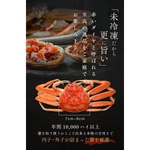 【今季販売終了】【完売御礼】セイコガニ 5杯 ...の詳細画像5