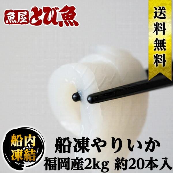 ≪ 業務用・大容量 ≫船凍 釣り やりいか 2kg 20匹 福岡産 船凍イカ お刺身 生食可 ヤリイ...