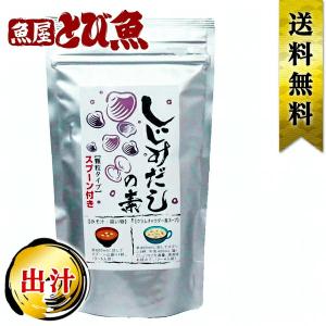 ソマチッド 100g 石タイプ 古代ソマチッド SOMACHI ソマチ 奇跡の鉱石