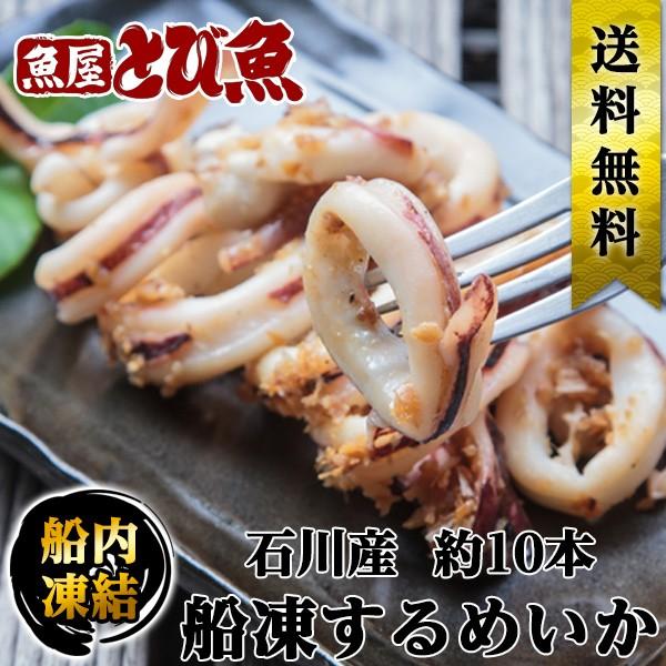 石川県産 船凍するめいか 10匹 約1.6kg-1.8kg お刺身 生食可 スルメイカ スルメ する...