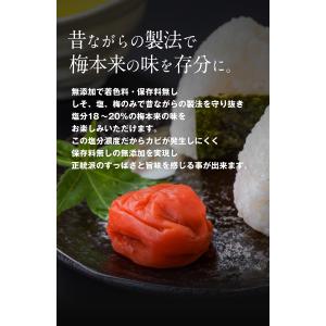 【7月25日数量限定★緊急再入荷】無添加 国産...の詳細画像1
