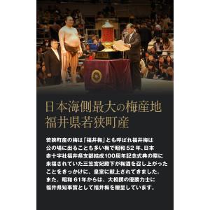 【7月25日数量限定★緊急再入荷】無添加 国産...の詳細画像2