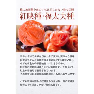 【7月25日数量限定★緊急再入荷】無添加 国産...の詳細画像3