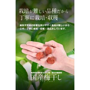 【7月25日数量限定★緊急再入荷】無添加 国産...の詳細画像4