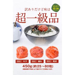 【7月25日数量限定★緊急再入荷】無添加 国産...の詳細画像5