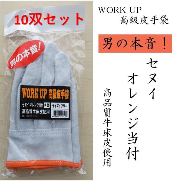 10双セット WORK UP セヌイオレンジ当付