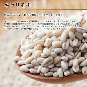 国産 もち麦 佐賀県産 キラリモチ 900g ...の詳細画像1