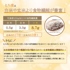 もち麦 シリアル ファイバーリッチ 60g ×...の詳細画像3