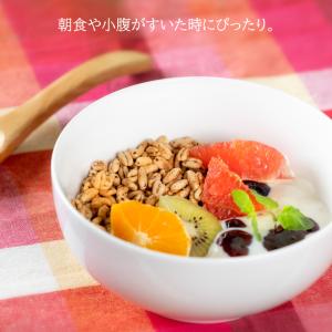 もち麦 シリアル ファイバーリッチ 60g ×...の詳細画像5