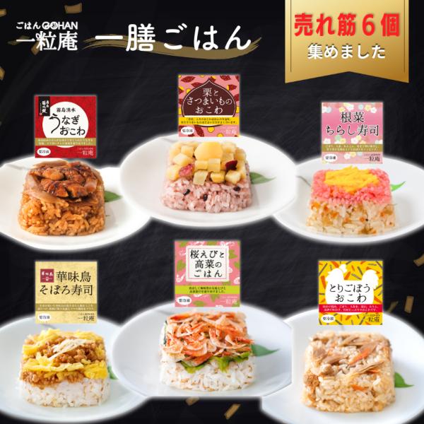 売れ筋 6個 集めました セット 一膳ごはん 一粒庵 いちりゅうあん 公式ストア