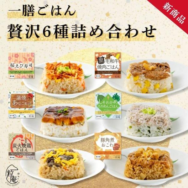お歳暮 冬ギフト プレゼント 一膳ごはん 贅沢6種詰め合わせ 公式ストア 一粒庵  米 冷凍食品 冷...