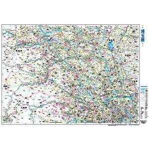 埼玉県全図（裏面白地図）
