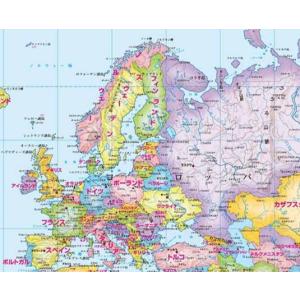 B2判 世界地図カレンダー 1000枚 ビニー...の詳細画像1