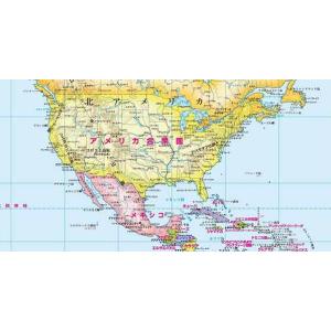 B2判 世界地図カレンダー 1000枚 ビニー...の詳細画像2