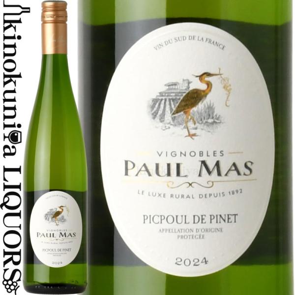 ポール マス ピクプール ド ピネ [2024] 白ワイン 辛口 750ml / フランス ラングド...