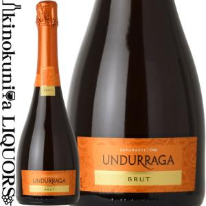 超稀少品エディツィオーネ　ダブルマグナム（3000ml）木箱入ワイングッズセット ダブルマグナム 化粧箱入 バルディビエソ ブリュット [NV] 3000ml