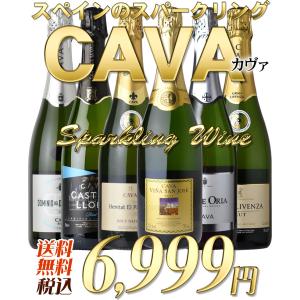 辛口カヴァ6本セット 第9弾 スペインのスパー...の詳細画像1
