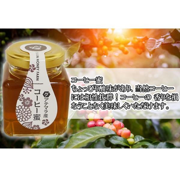 山田はちみつ　グアテマラ産コーヒー蜜 100g[T8]