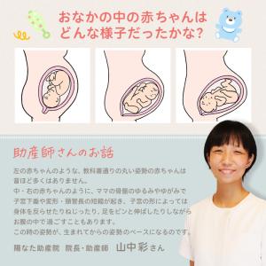 ベビハグ 青葉 向きぐせ 防止クッション M ...の詳細画像5