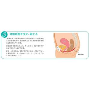 トコサポート ML LL 骨盤底筋 トコちゃん...の詳細画像4