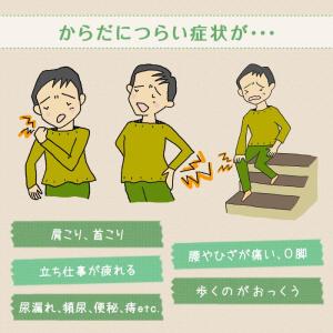 青葉 ササエラ マイトコちゃんベルト L グレ...の詳細画像2