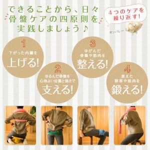 青葉 ササエラ マイトコちゃんベルト L グレ...の詳細画像3