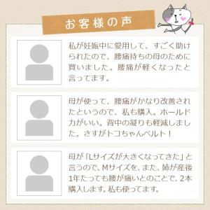 青葉 ササエラ マイトコちゃんベルト L グレ...の詳細画像4