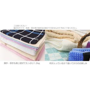 クーポンで50%off !【訳ありアウトレット...の詳細画像3