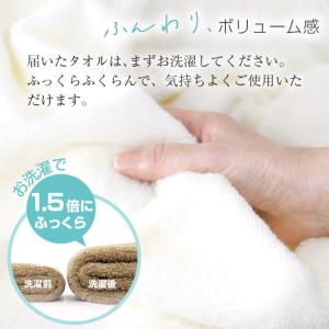 フェイスタオル 大判 6枚セット 34×90c...の詳細画像3