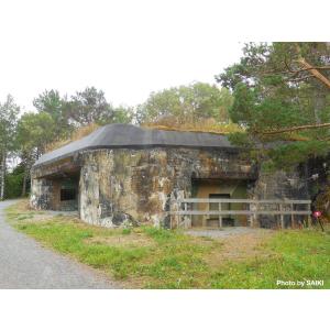 タミヤニュース NO.613の詳細画像5