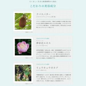 アルビオン エクラフチュール t 60 本体キ...の詳細画像5