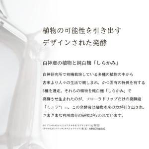 アルビオン フローラドリップ s 160 キッ...の詳細画像5