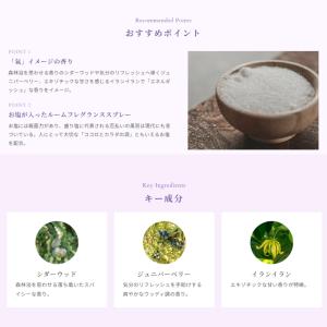 おいせさん お浄め氣スプレー 17ml お清め...の詳細画像2