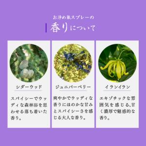 おいせさん お浄め氣スプレー 17ml お清め...の詳細画像3