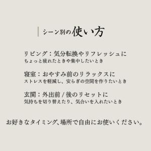 おいせさん お浄め氣スプレー 17ml お清め...の詳細画像4