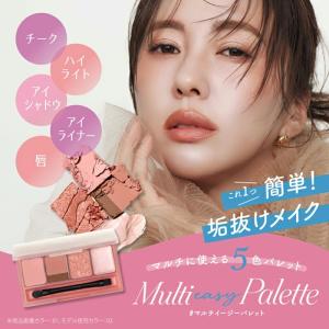 フジコ マルチイージーパレット 3.8g〈パウ...の詳細画像2