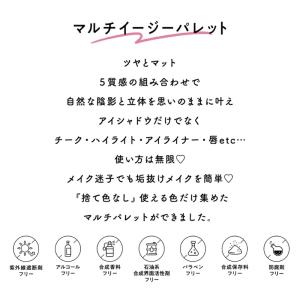 フジコ マルチイージーパレット 3.8g〈パウ...の詳細画像3
