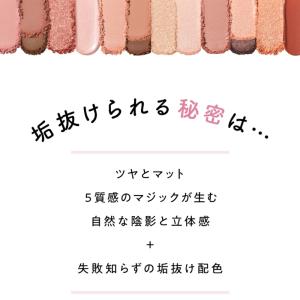 フジコ マルチイージーパレット 3.8g〈パウ...の詳細画像5