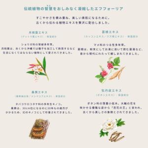 ネコポス速達!イグニス ホワイトニング エフフ...の詳細画像1