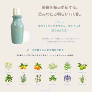 ネコポス速達!イグニス ホワイトニング エフフ...の詳細画像3