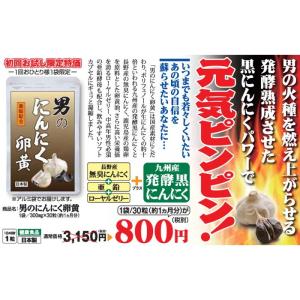 サプリ 男のにんにく卵黄 30日分【お試し特価800円！】｜tofunokai-shop