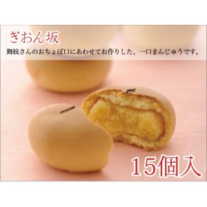 和晃　京ぽんと　秀菓　ぎおん坂　１５個入