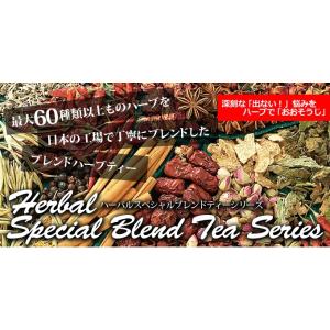 【2個セット】送料無料 ハーバルデトックティー...の詳細画像1