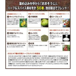 【2個セット】送料無料 ハーバルデトックティー...の詳細画像4